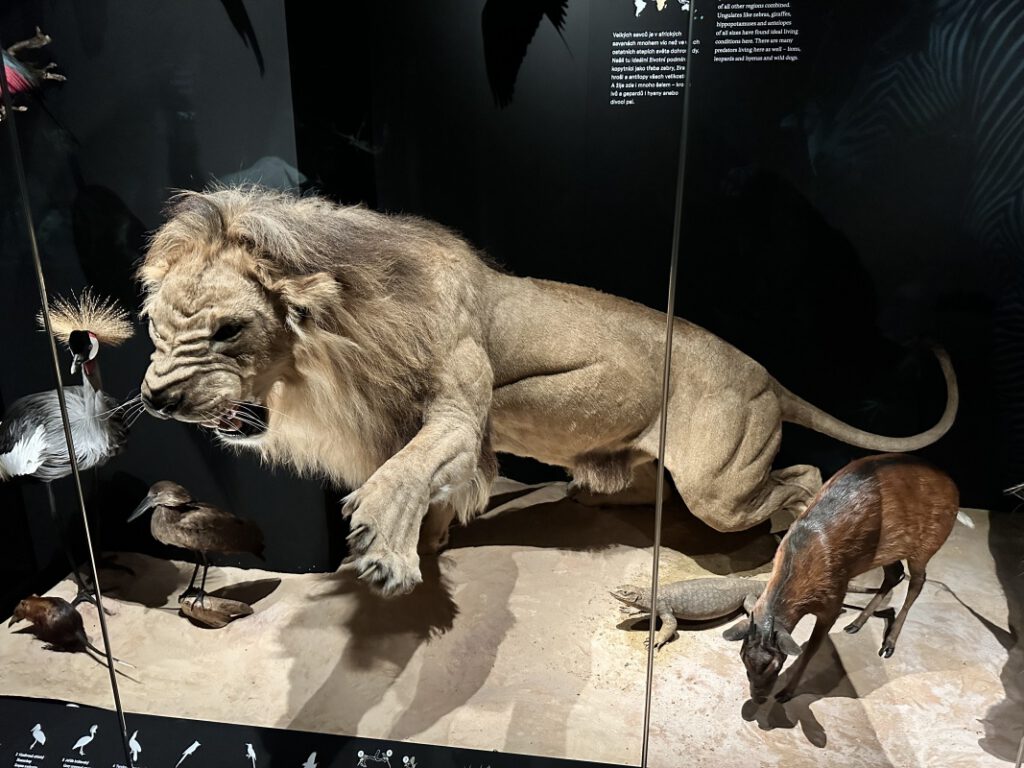 202212114 Muzeum Praha 1s 10 | SOS a SOU KH