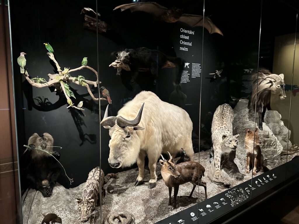 202212114 Muzeum Praha 1s 11 | SOS a SOU KH