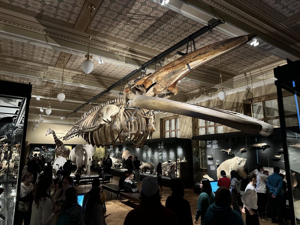 202212114 Muzeum Praha 1s 12 | SOS a SOU KH