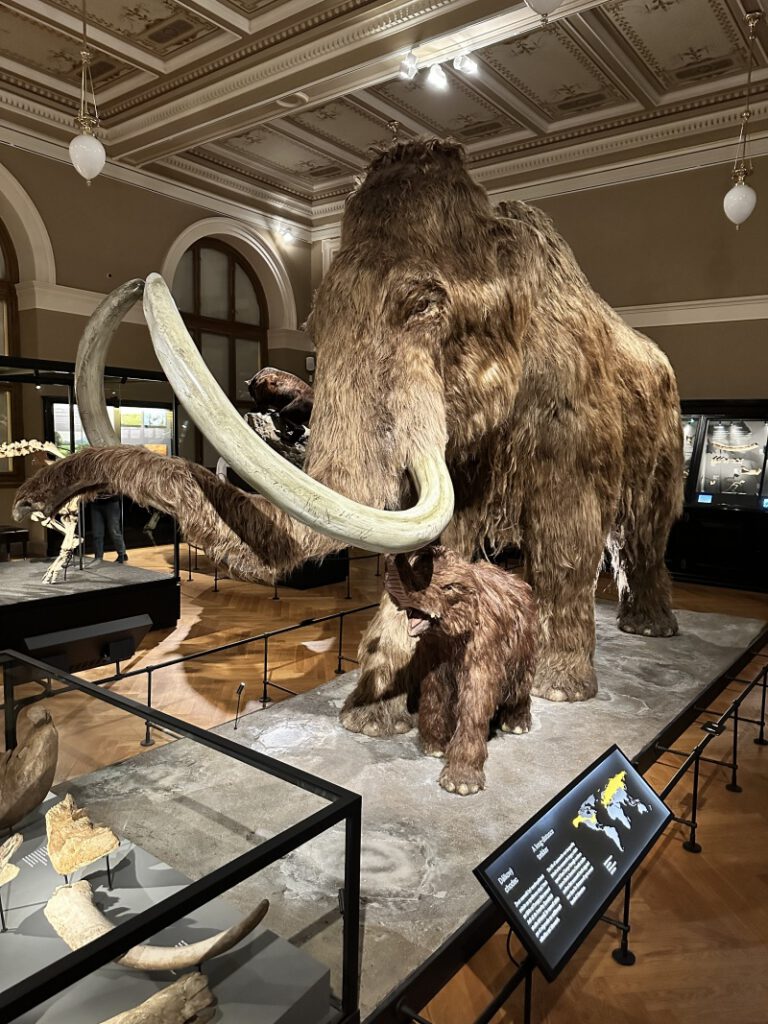 202212114 Muzeum Praha 1s 15 | SOS a SOU KH