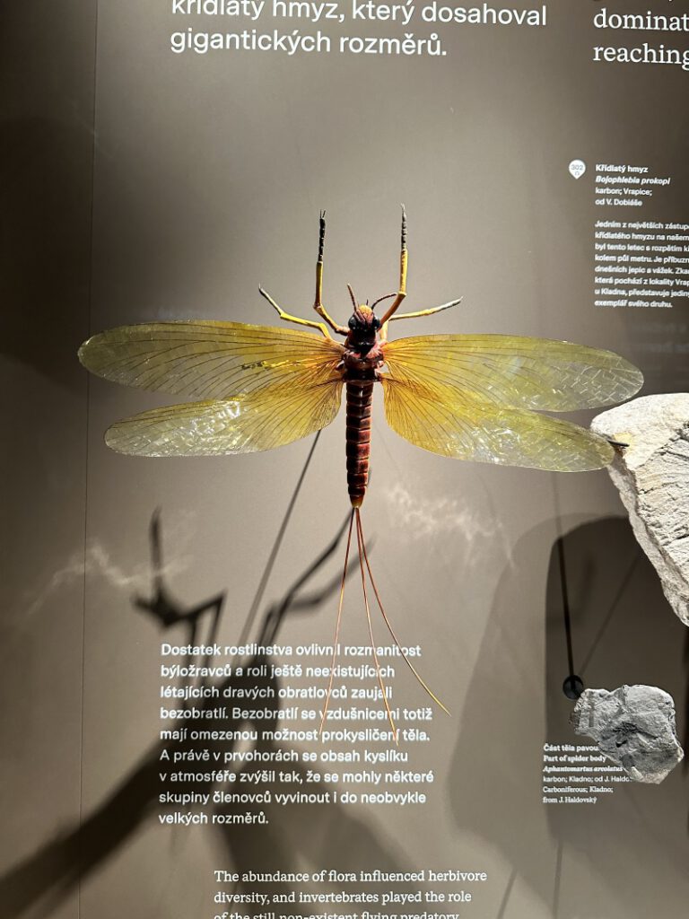 202212114 Muzeum Praha 1s 17 | SOS a SOU KH