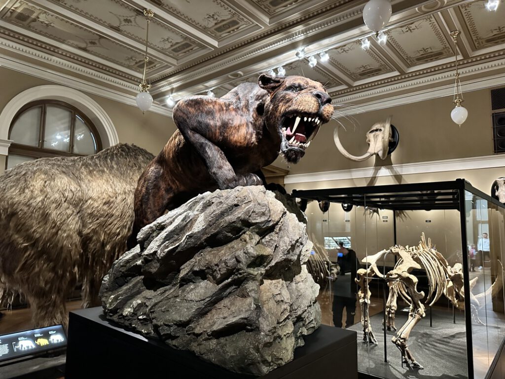 202212114 Muzeum Praha 1s 2 | SOS a SOU KH