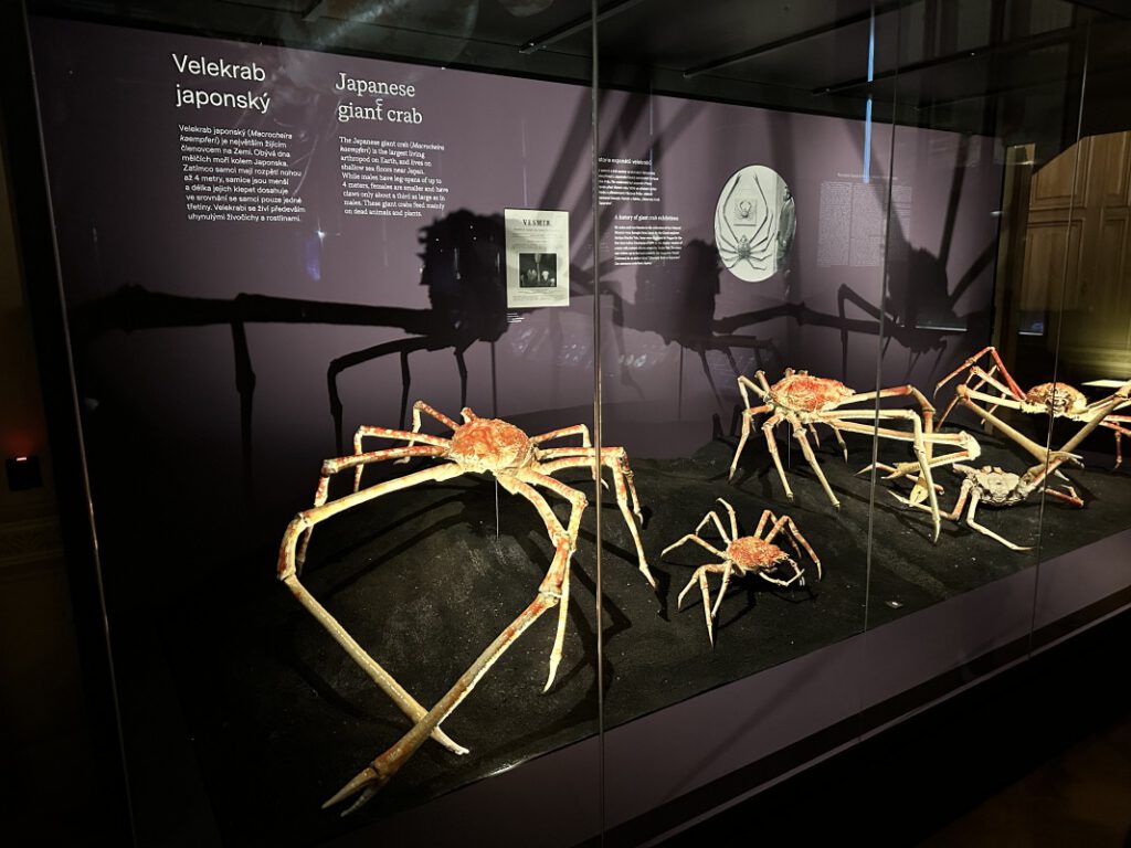 202212114 Muzeum Praha 1s 4 | SOS a SOU KH