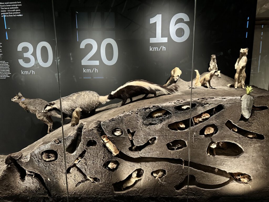 202212114 Muzeum Praha 1s 9 | SOS a SOU KH