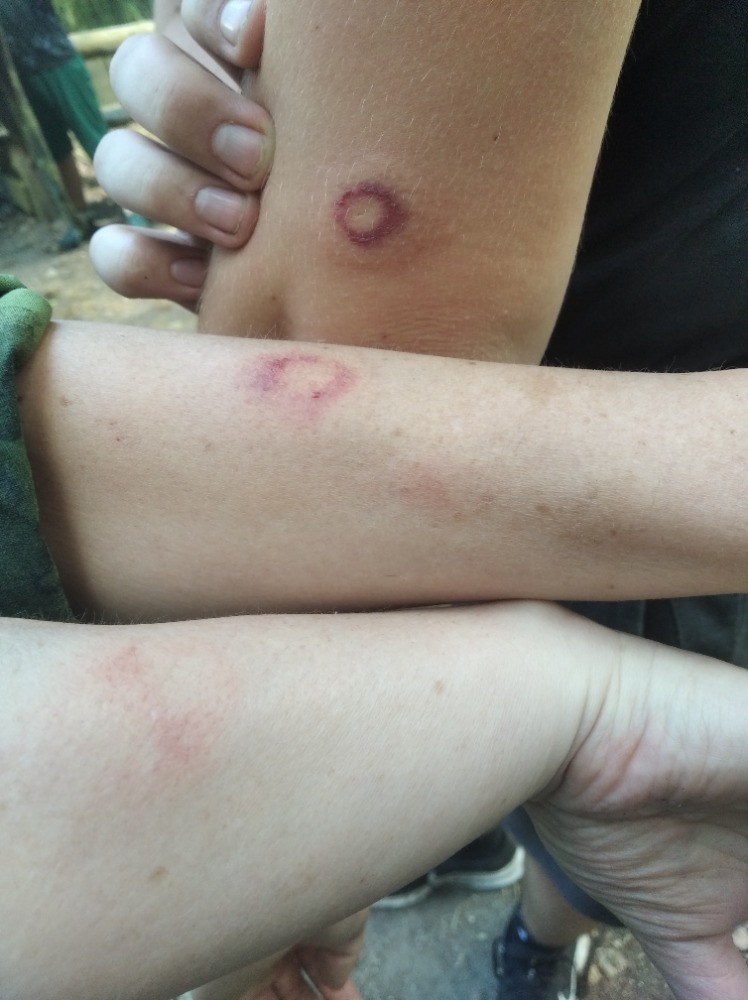 Img 20230627 132712 | SOS a SOU KH