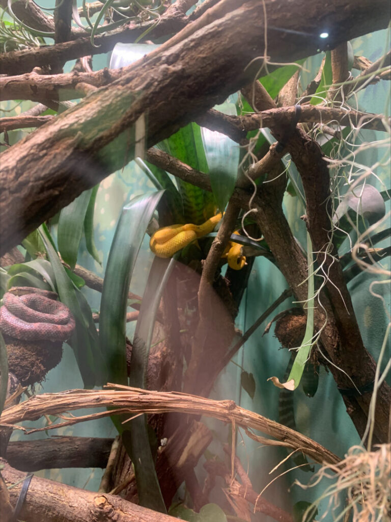 Foto Zoo 1 6 | SOS a SOU KH
