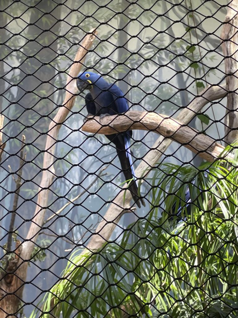 Foto Zoo 14 2 | SOS a SOU KH